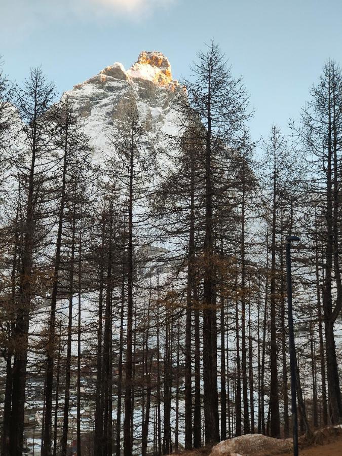 Cervino'S View - Ski In Ski Out Breuil-Cervinia Exterior foto